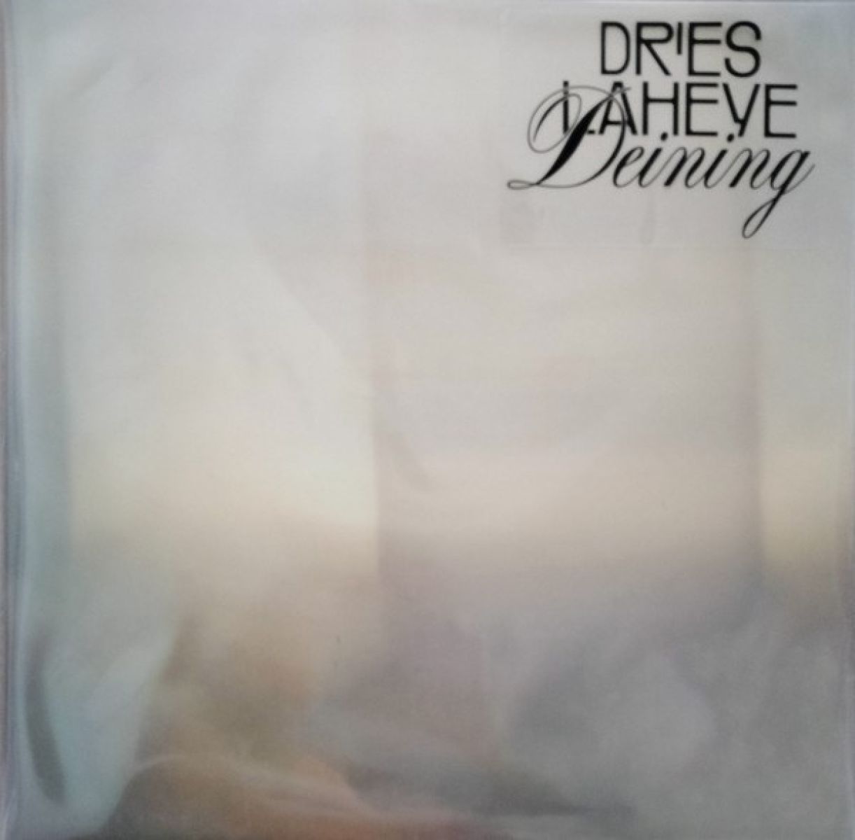 Afbeelding van Dries Laheye - Deining