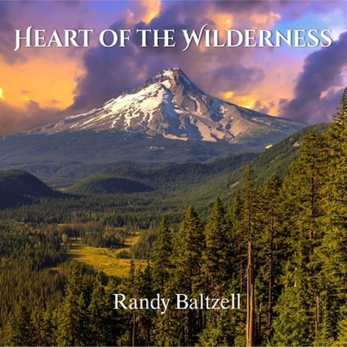 Afbeelding van Heart Of The Wilderness