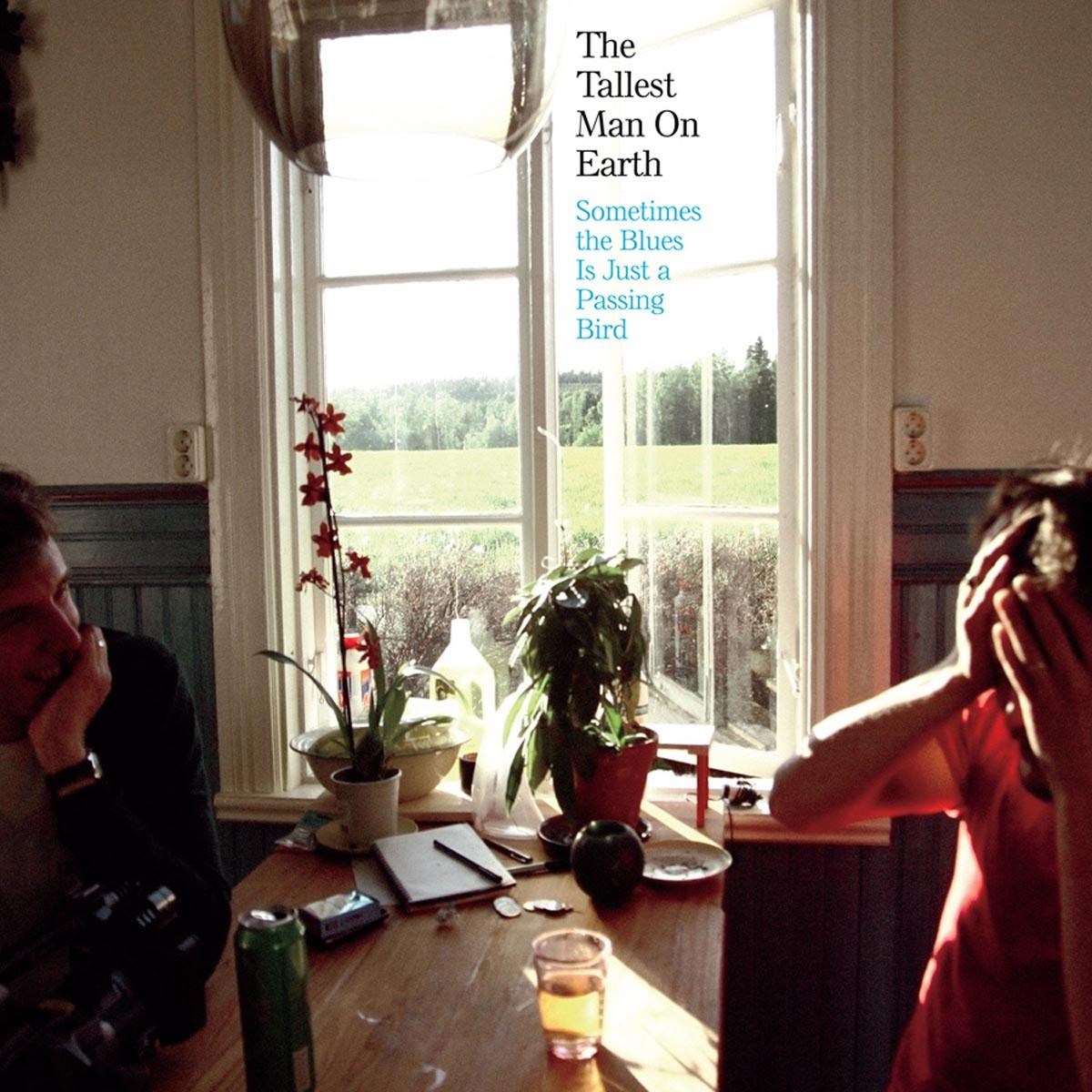 Afbeelding van The Tallest Man On Earth - Sometimes The Blues Is Just A Passing Bird