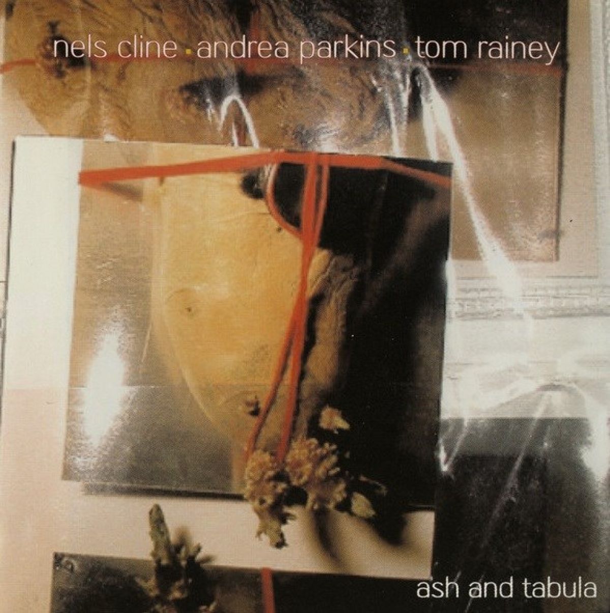Afbeelding van Nels Cline, Andrea Parkins & Tom Rainey - Ash And Tabula (Out Trios Volume Three)