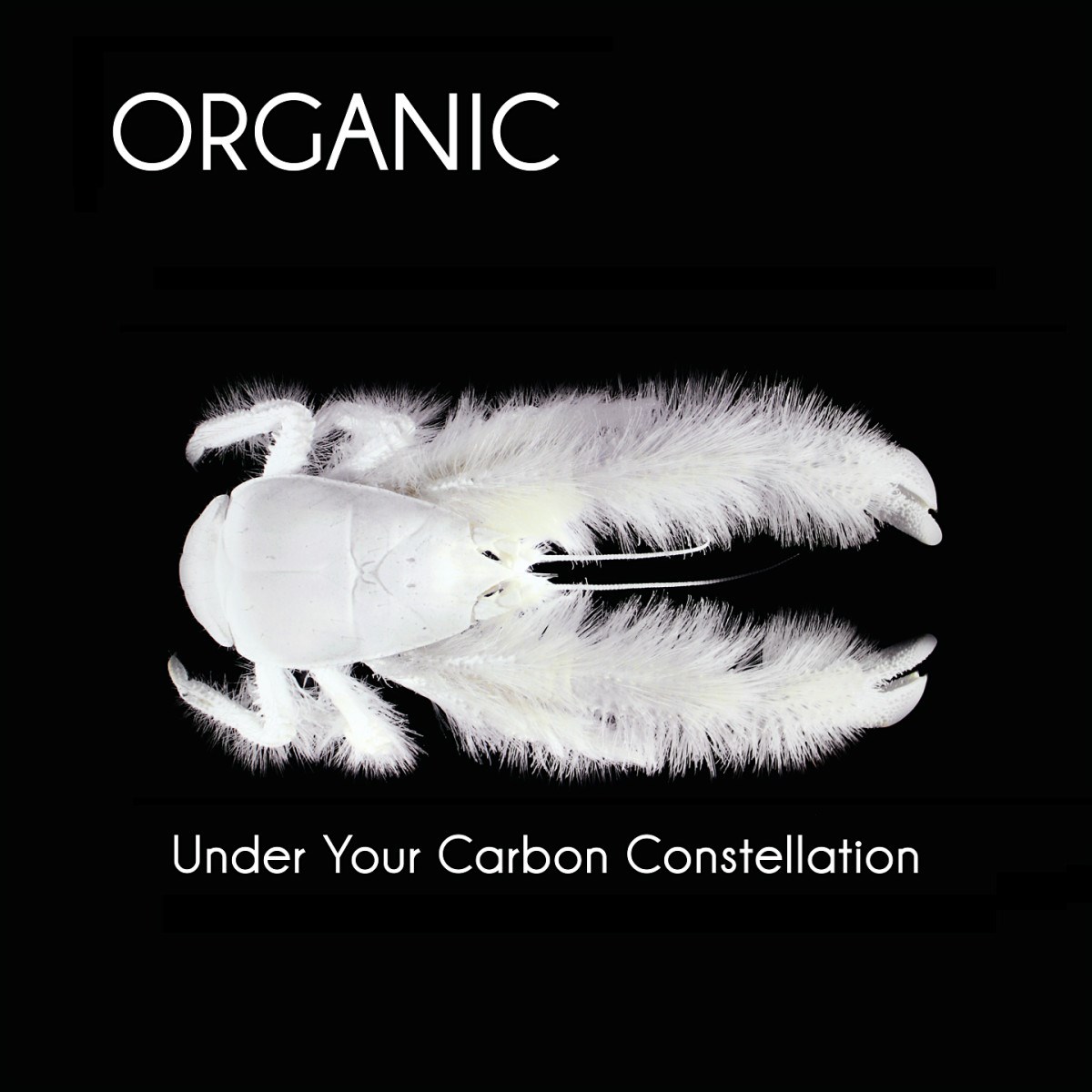 Afbeelding van Organic - Under Your Carbon Constellation