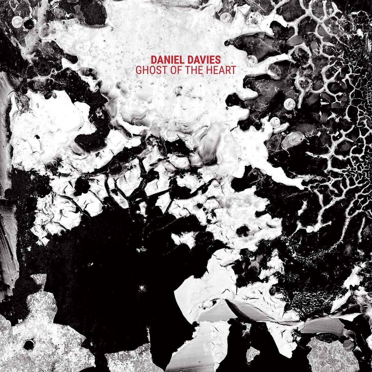 Afbeelding van Daniel Davies - Ghost Of The Heart