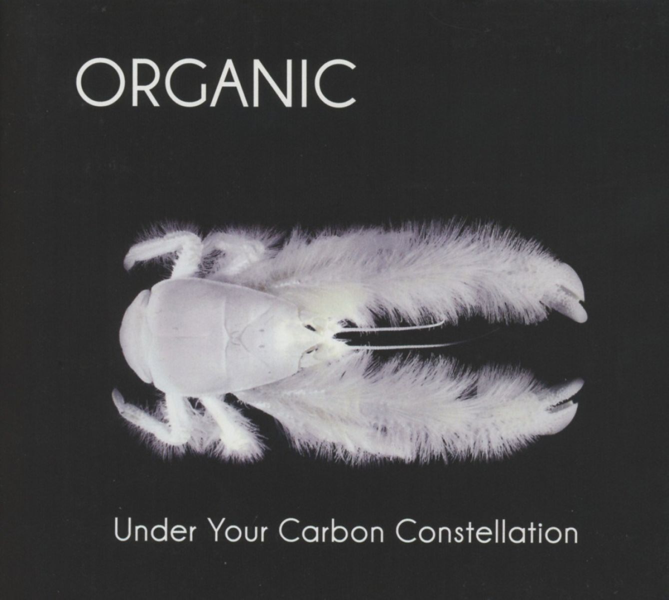 Afbeelding van Under Your Carbon Constellation -180gr-