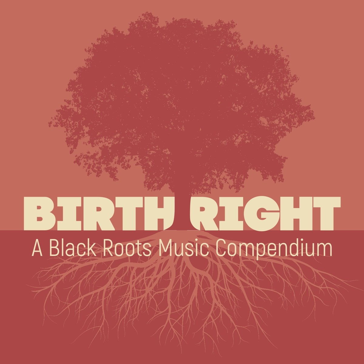 Various Artists - Birth Right: A Black Roots Music Compendium