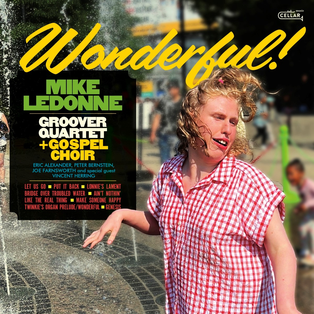 Afbeelding van Wonderful