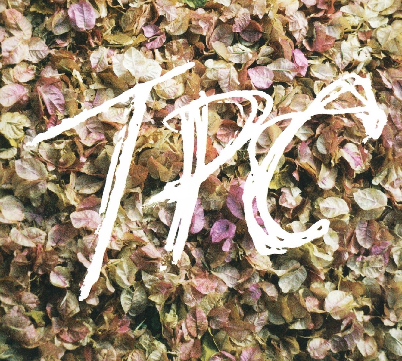 Tokyo Police Club - Tpc