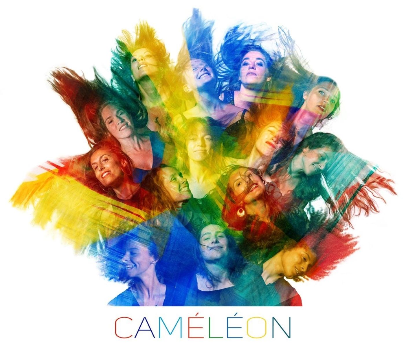 Afbeelding van Thierry Maillard Ensemble - Caméléon