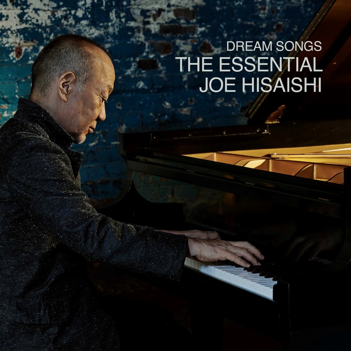 Afbeelding van Joe Hisaishi - Dream Songs: The Essential Joe Hisaishi