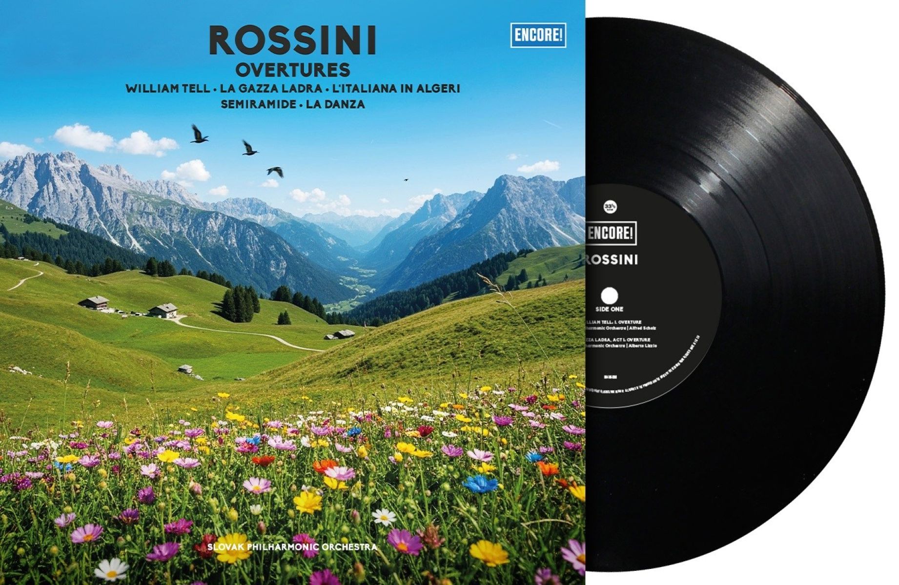 Afbeelding van Various Artists - Rossini: Ouvertures