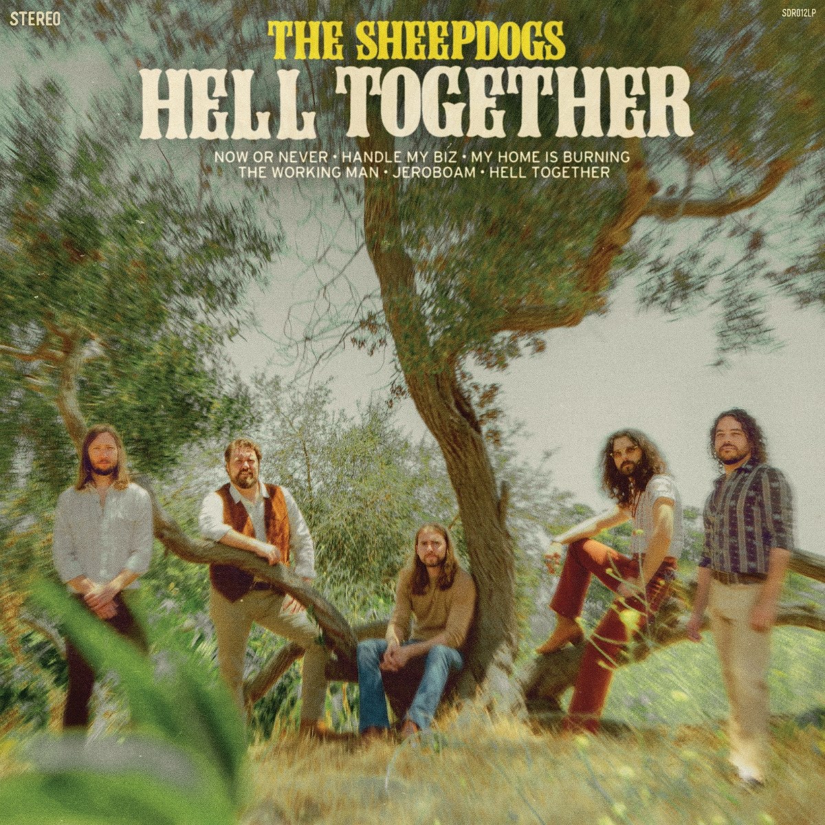 Afbeelding van The Sheepdogs - Hell Together