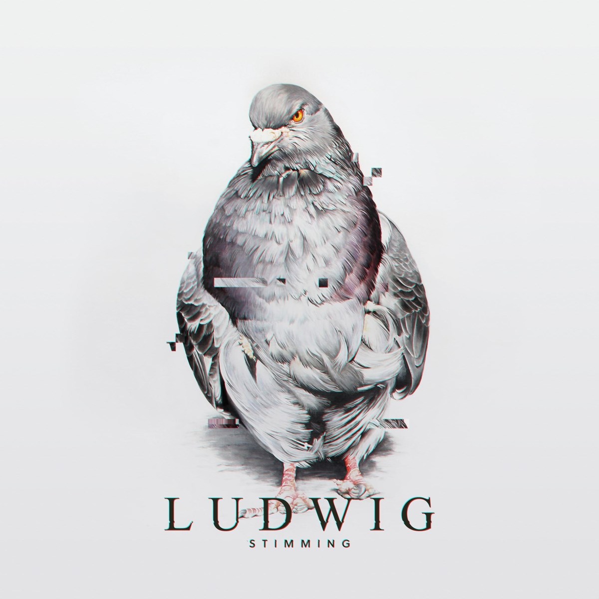 Afbeelding van Stimming - Ludwig