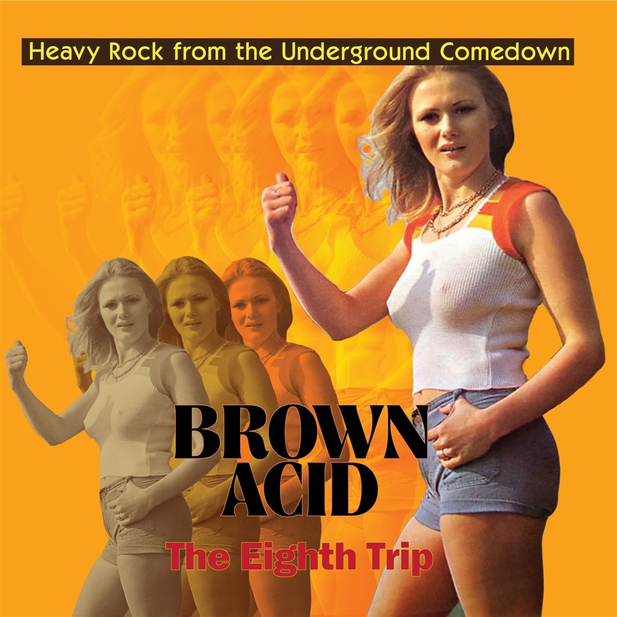 Afbeelding van Various Artists - Brown Acid: The Eighth Trip