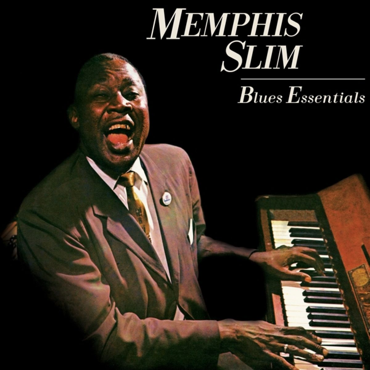 Afbeelding van Blues Essentials