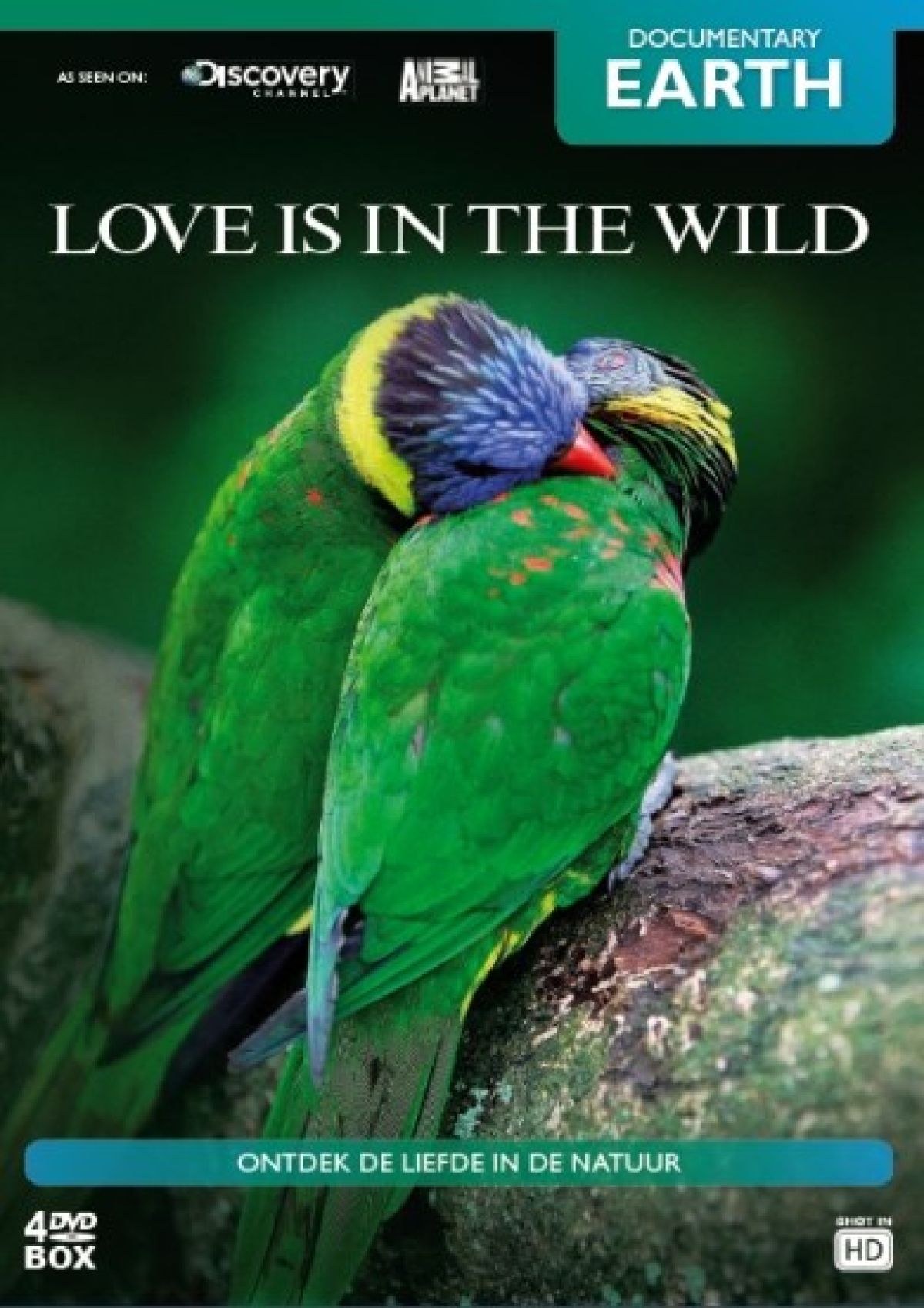 Afbeelding van Love is In The wild
