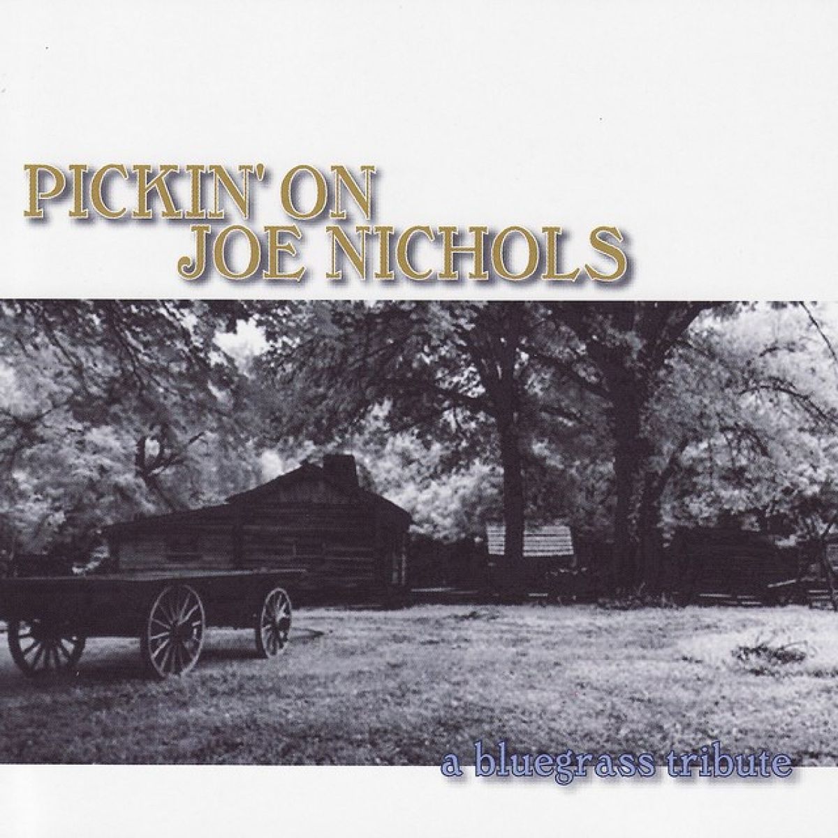 Various Artists (Bluegrass Tribute) - Pickin On Joe Nichols