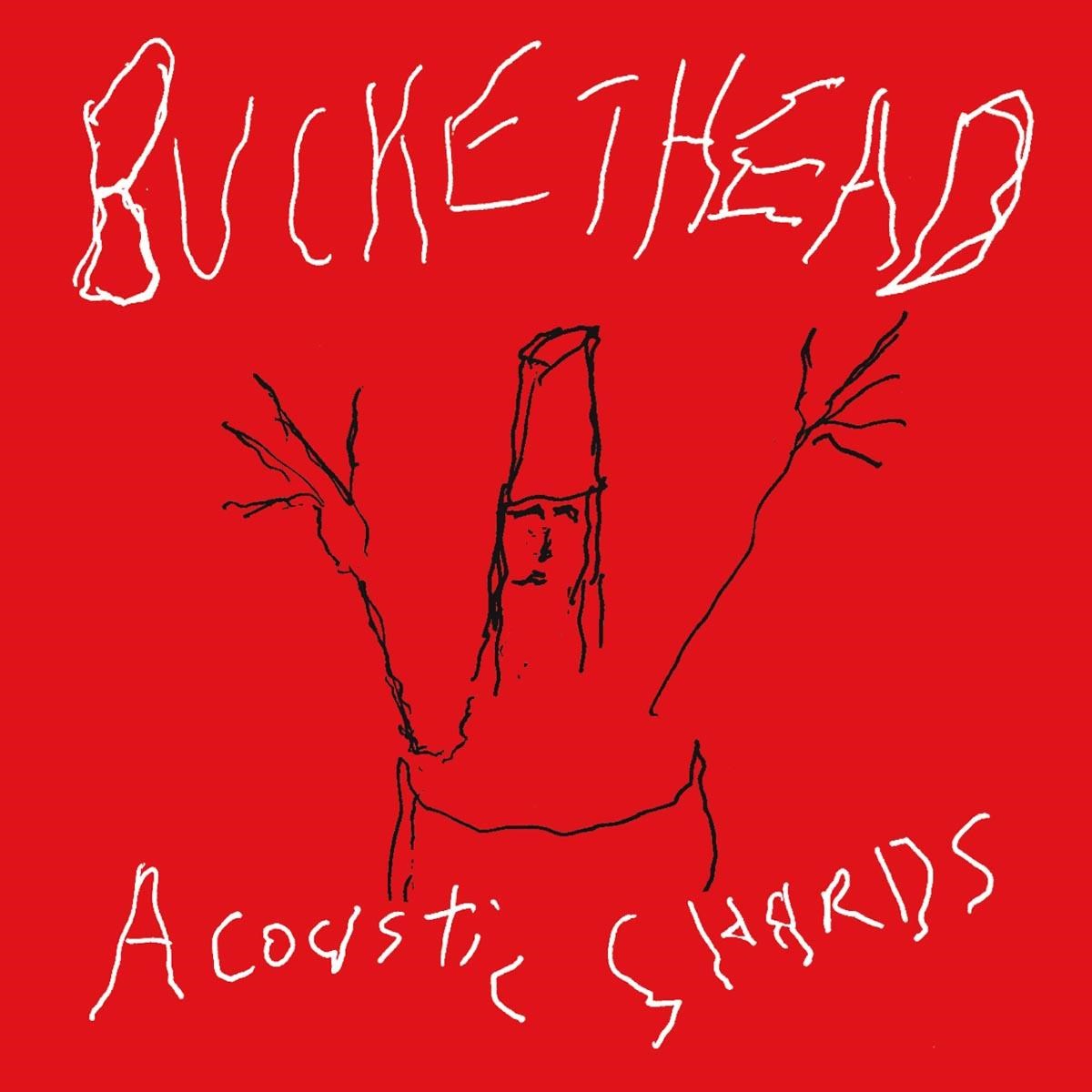 Afbeelding van Buckethead - Acoustic Shards