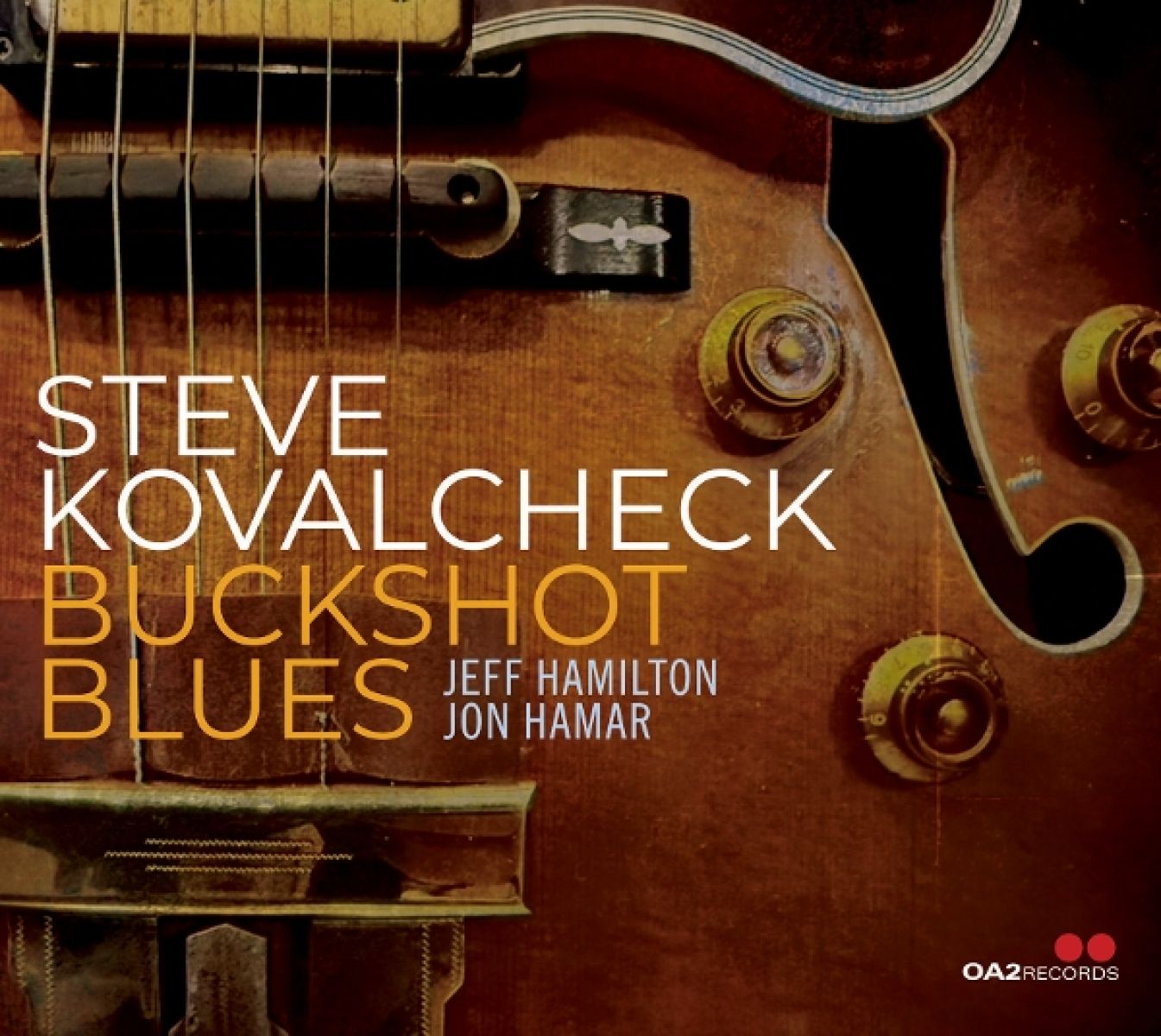 Afbeelding van Steve Kovalcheck - Buckshot Blues