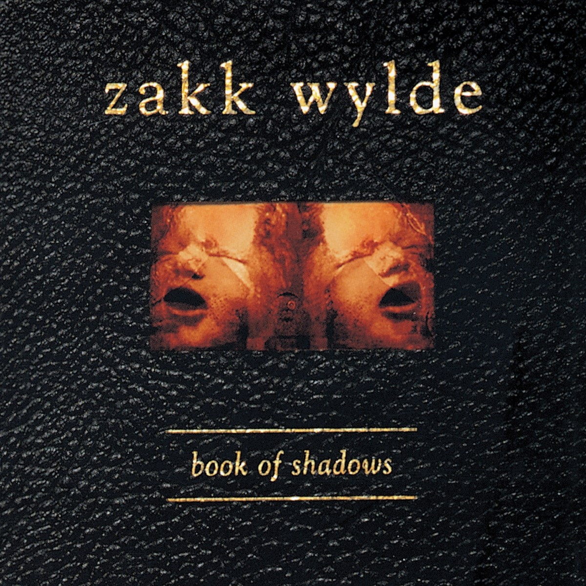 Afbeelding van Zakk Wylde - Book Of Shadows