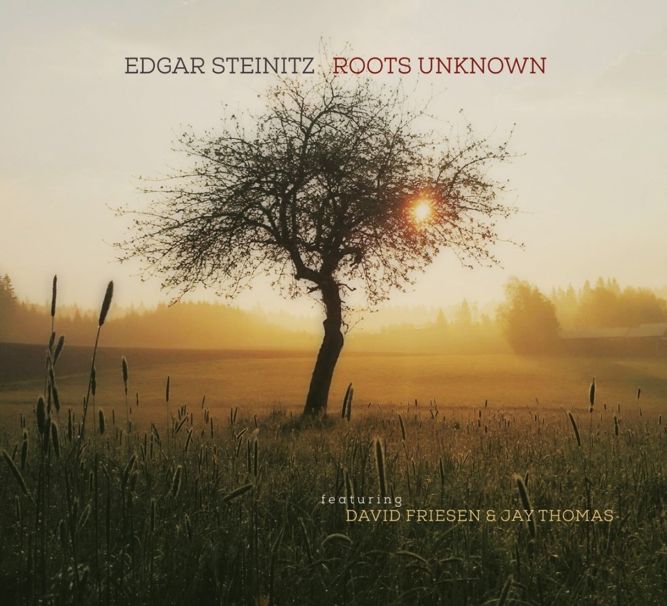 Afbeelding van Roots Unknown