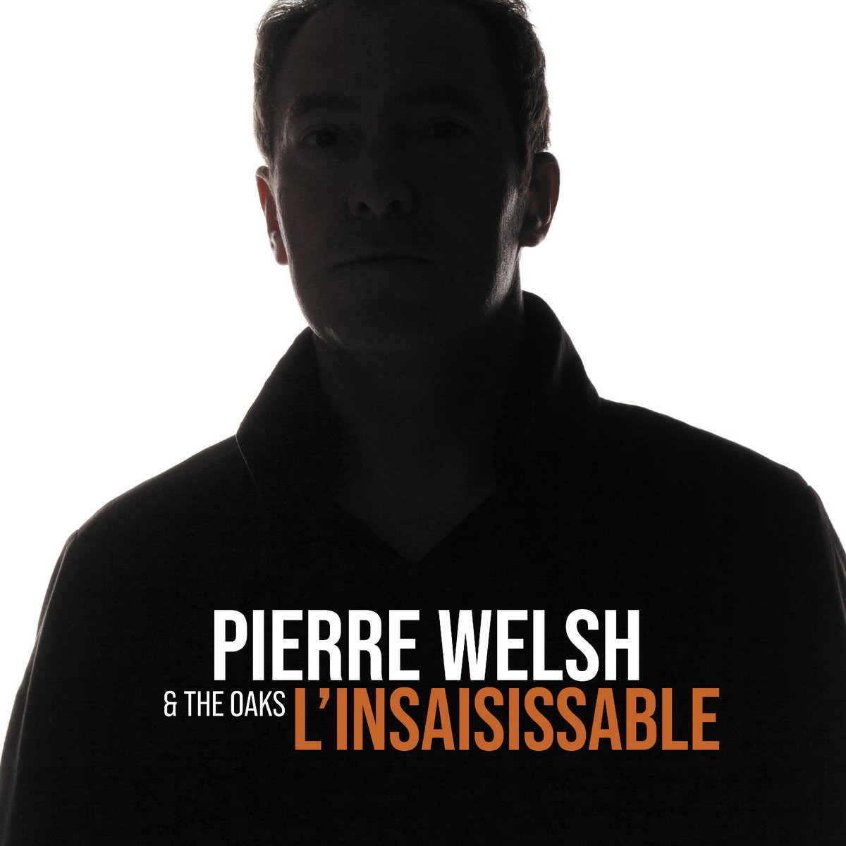 Afbeelding van Pierre Welsh & The Oaks - L'Insaisissable