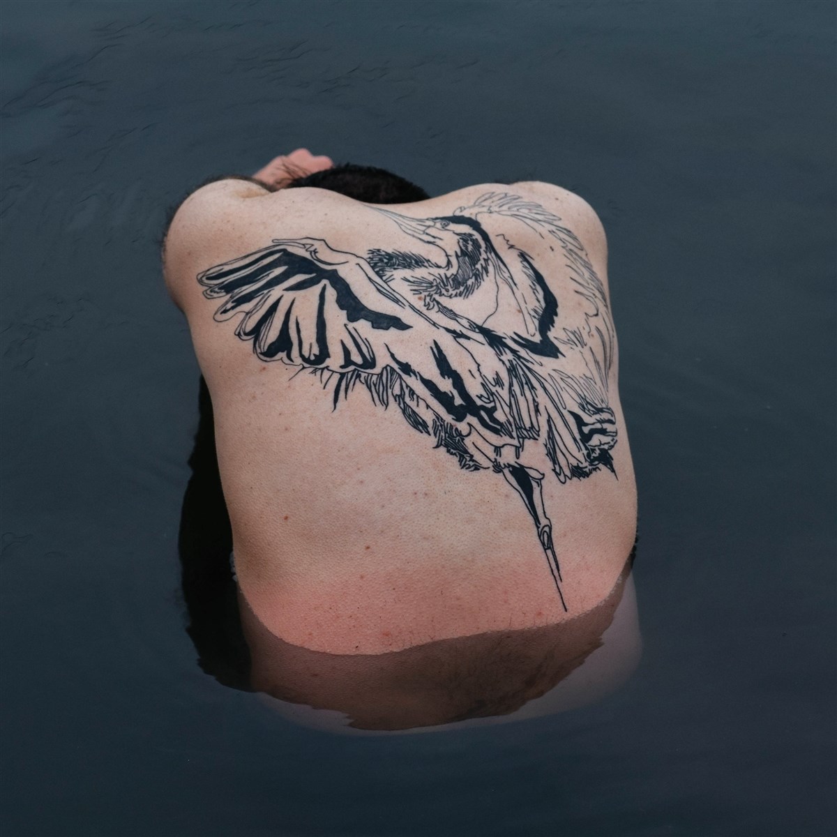 Afbeelding van Jodi - Blue Heron