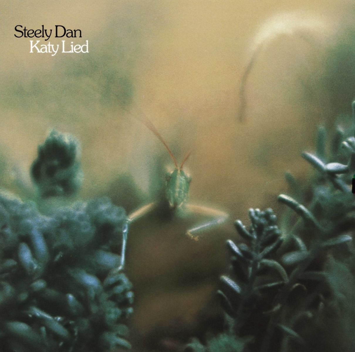 Afbeelding van Steely Dan - Katy Lied