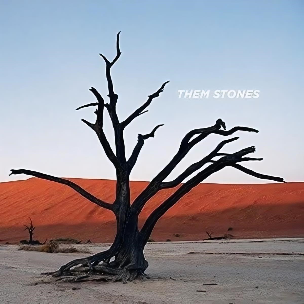 Them Stones - Them Stones