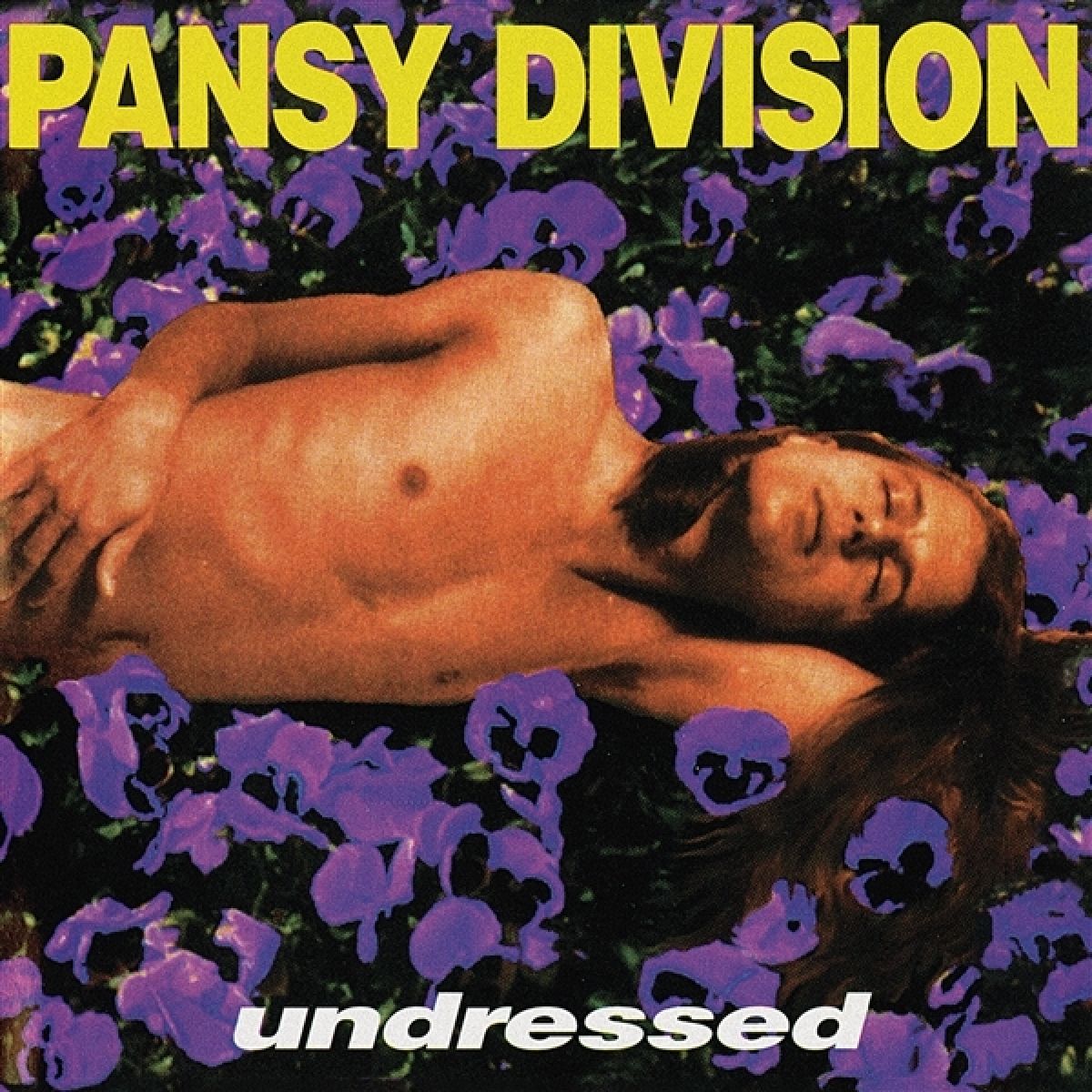 Afbeelding van Pansy Division - Undressed