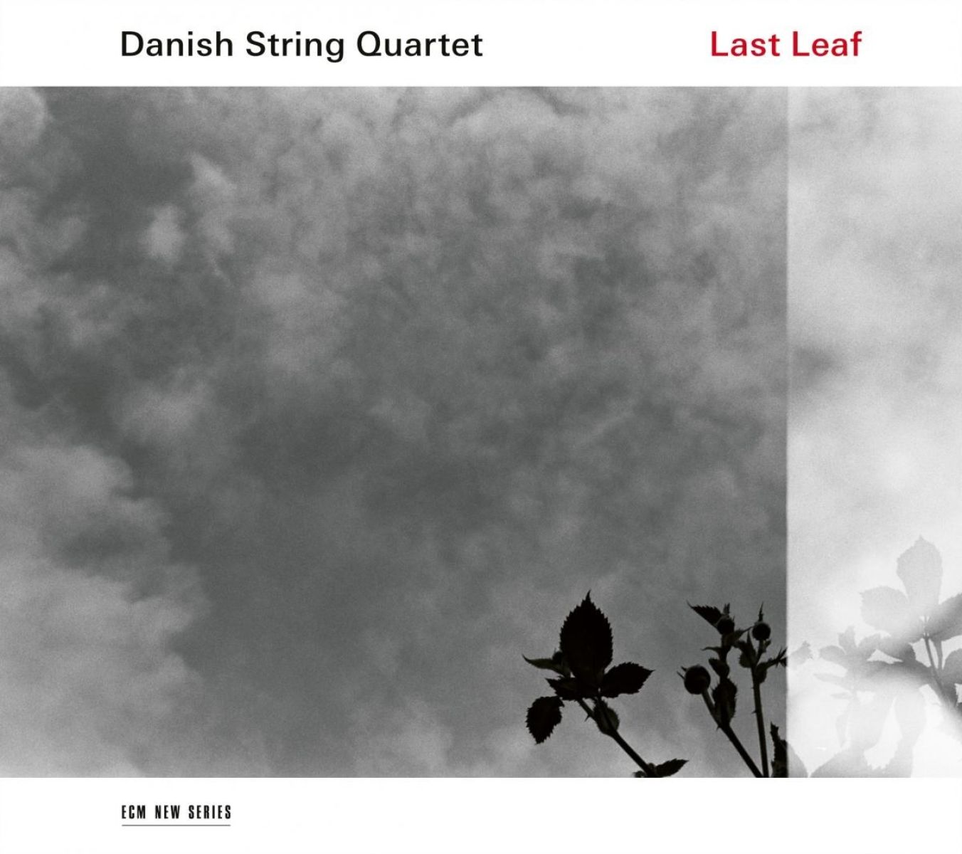 Afbeelding van Last Leaf