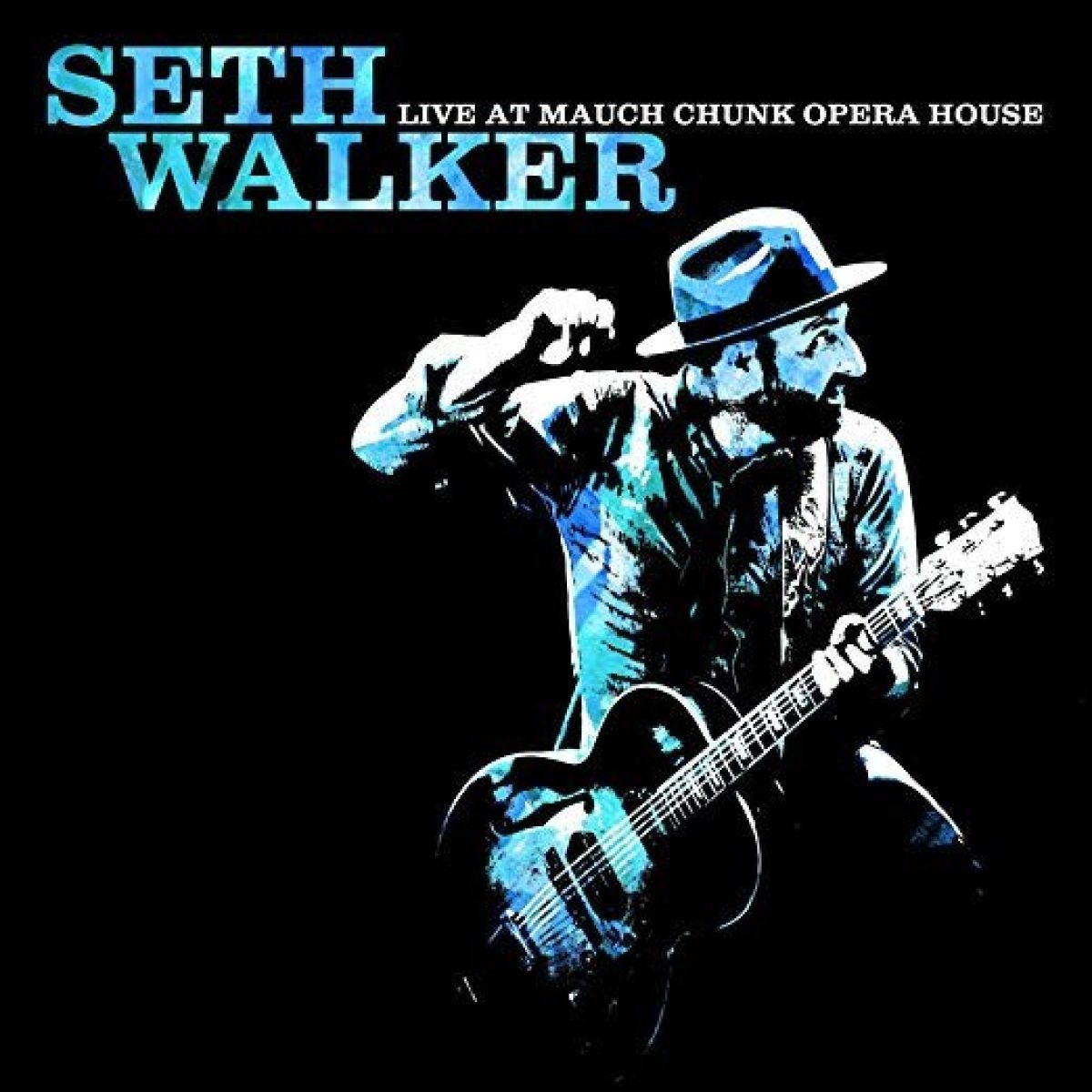 Afbeelding van Seth Walker - Live At Mauch Chunk Opera House