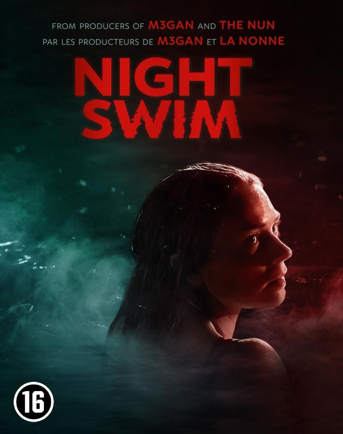 Afbeelding van Night Swim