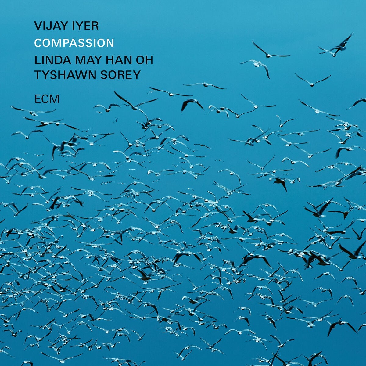 Afbeelding van Vijay Iyer Trio, Linda Oh, May Han, Tyshawn Sorey - Compassion