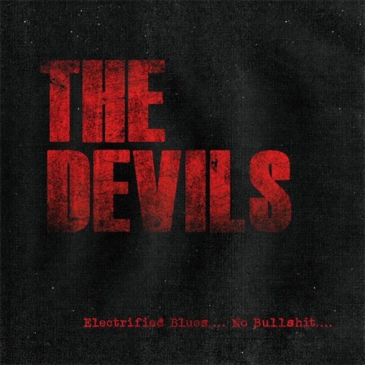 Afbeelding van The Devils - Pure Electrified Blues…No Bullshit