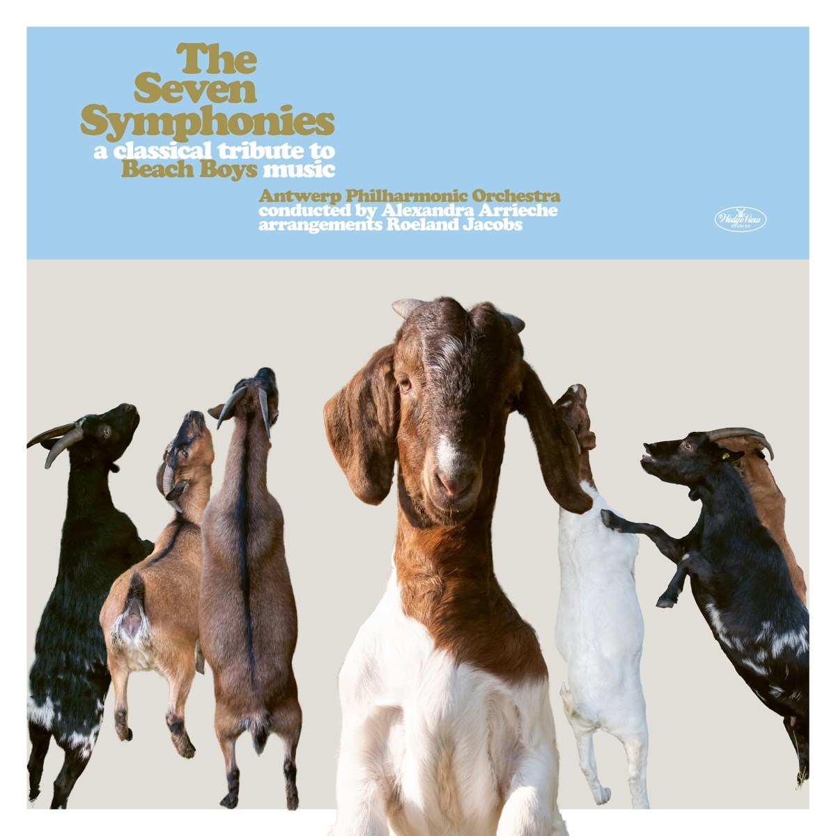 Afbeelding van Antwerp Philharmonic Orchestra - The Seven Symphonies A Classical Tribute To Beach Boys Music
