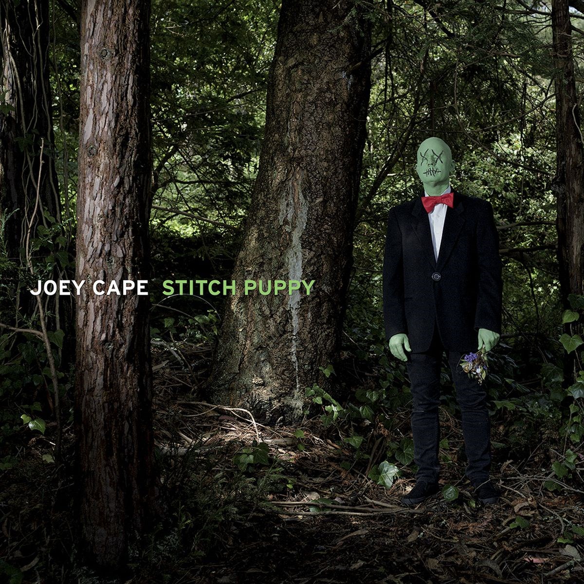 Afbeelding van Joey Cape - Stitch Puppy