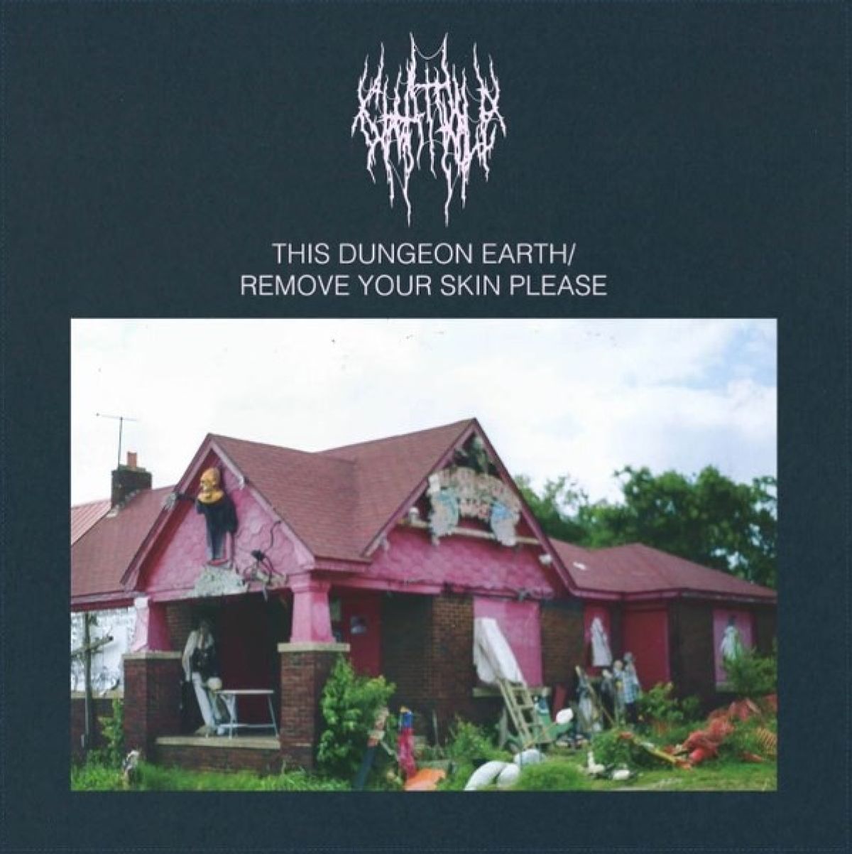 Afbeelding van Chat Pile - This Dungeon Earth / Remove Your Skin Please