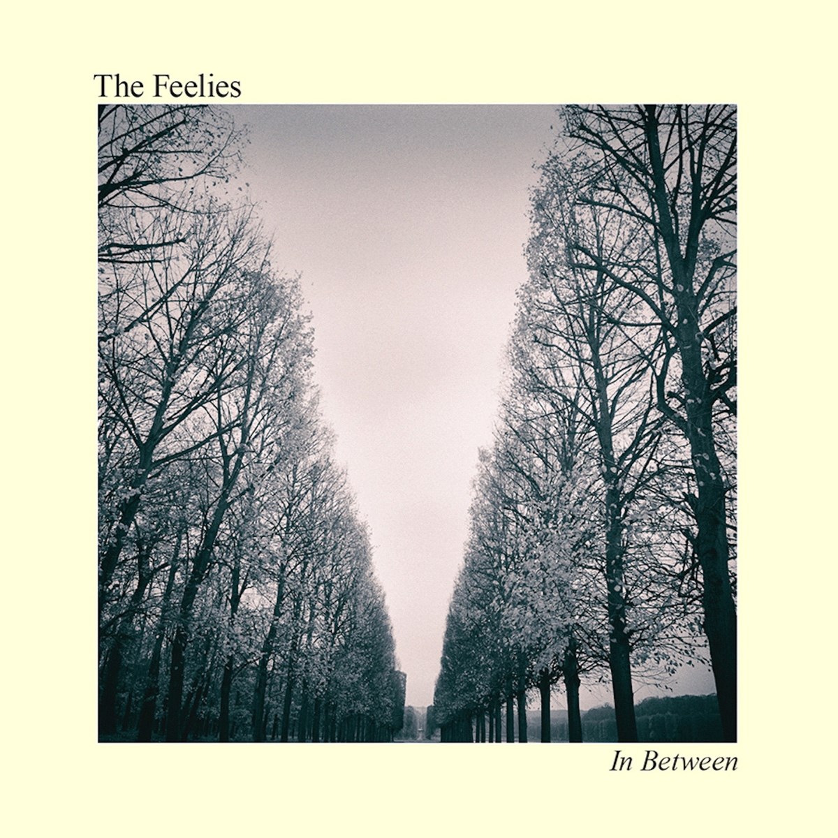 Afbeelding van The Feelies - In Between