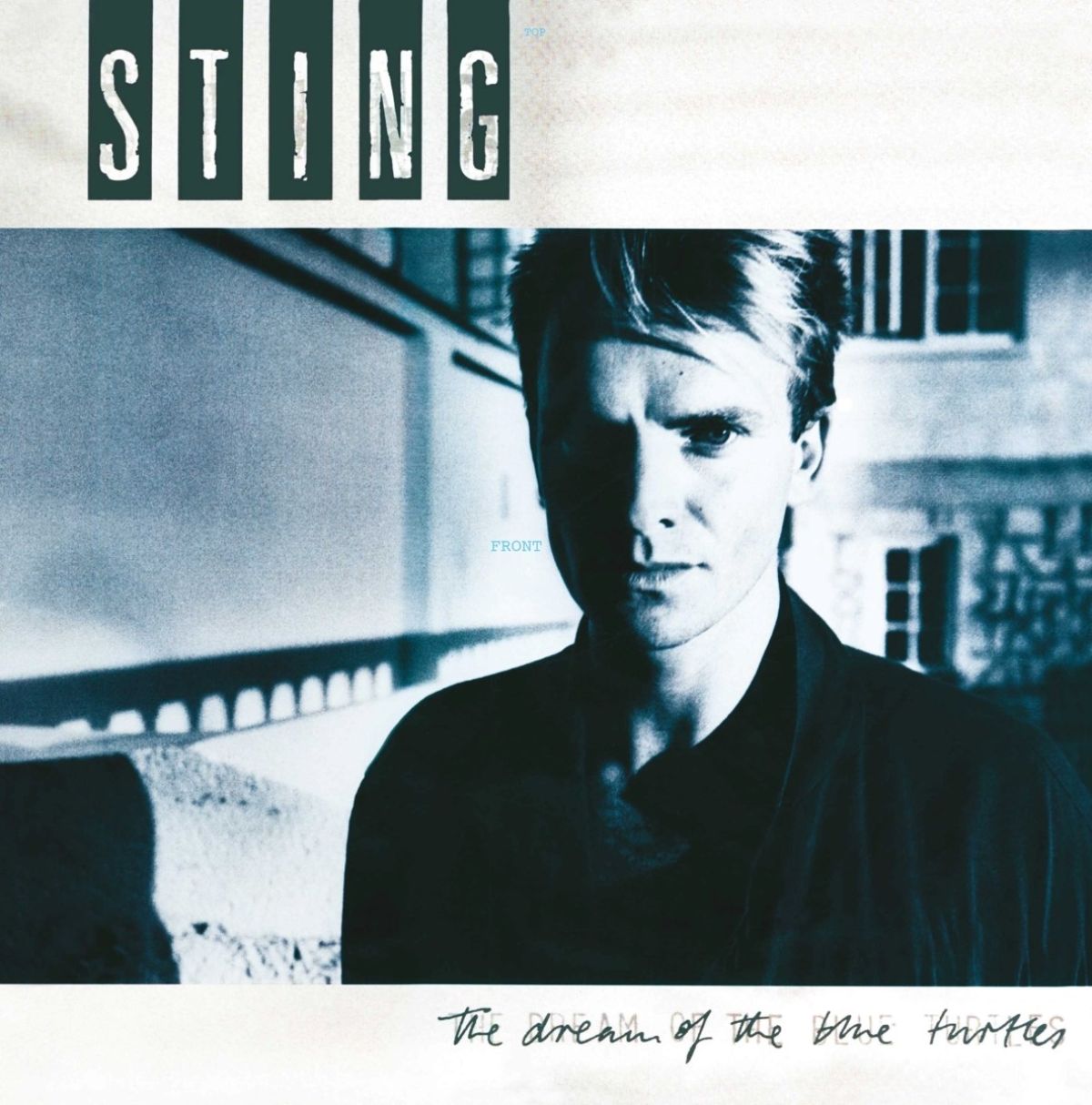 Afbeelding van Sting - The Dream Of The Blue Turtles