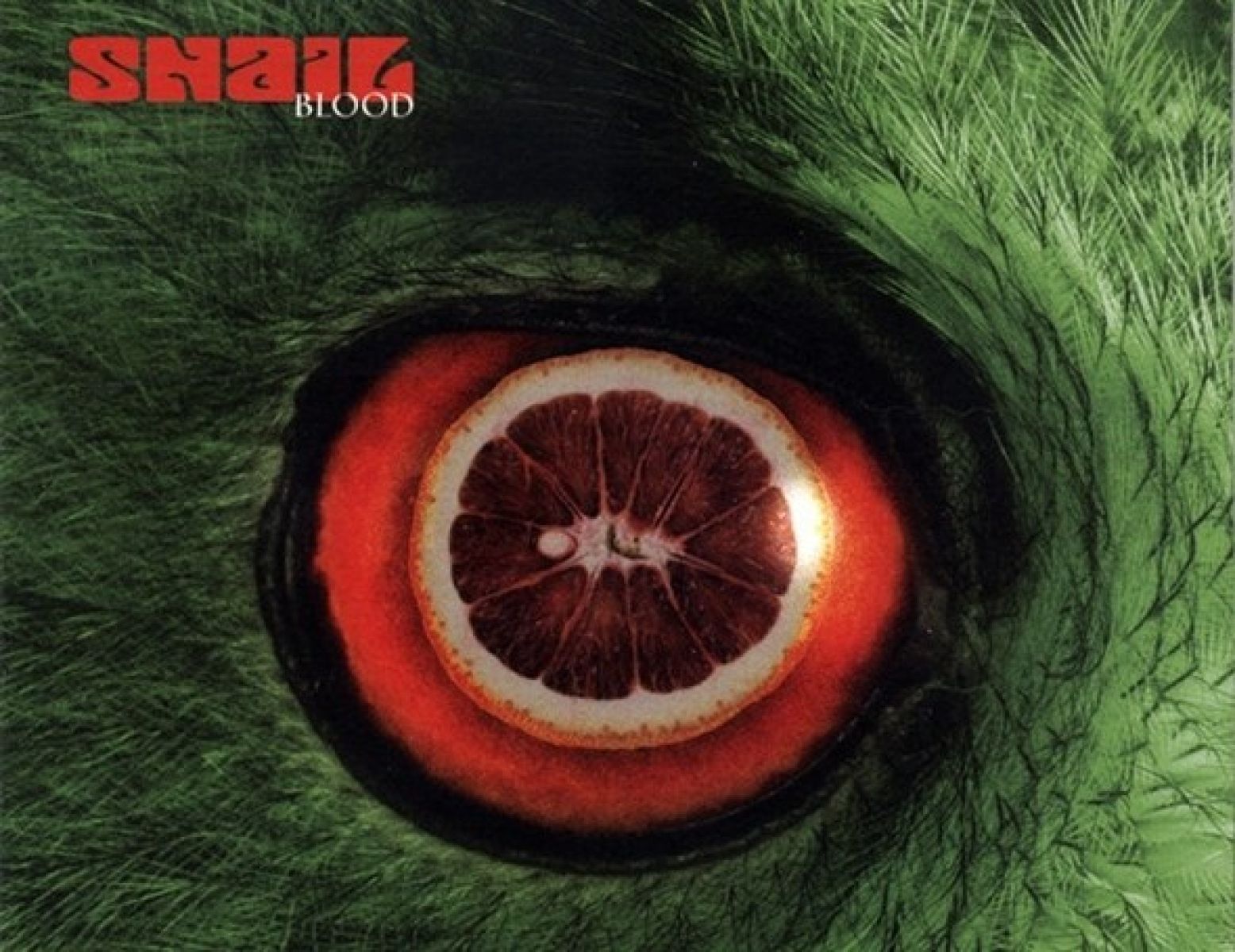 Snail - Blood