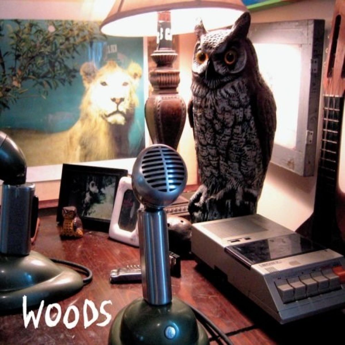 Afbeelding van Woods - At Rear House