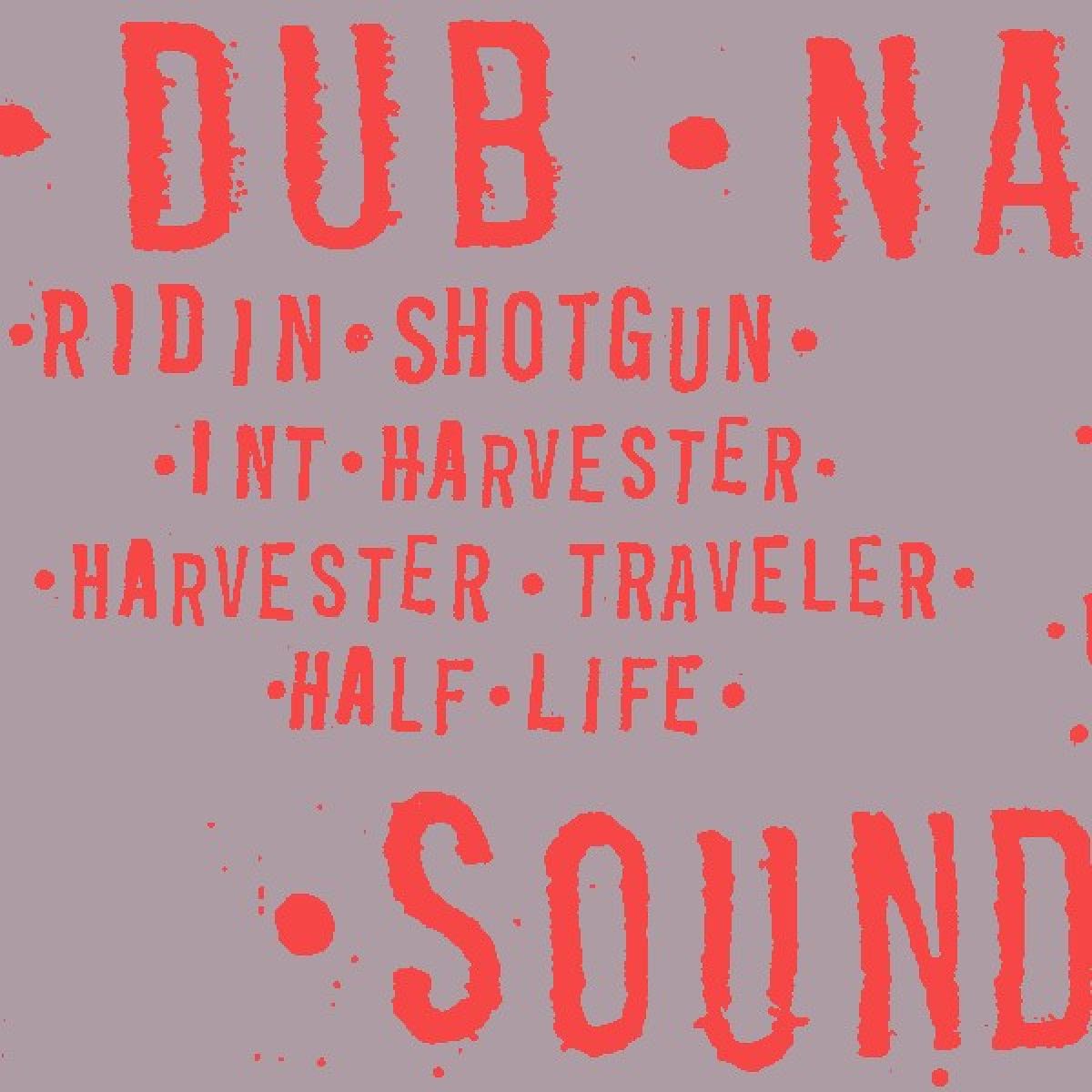 Dub Narcotic Sound System - Ridin' Shotgun