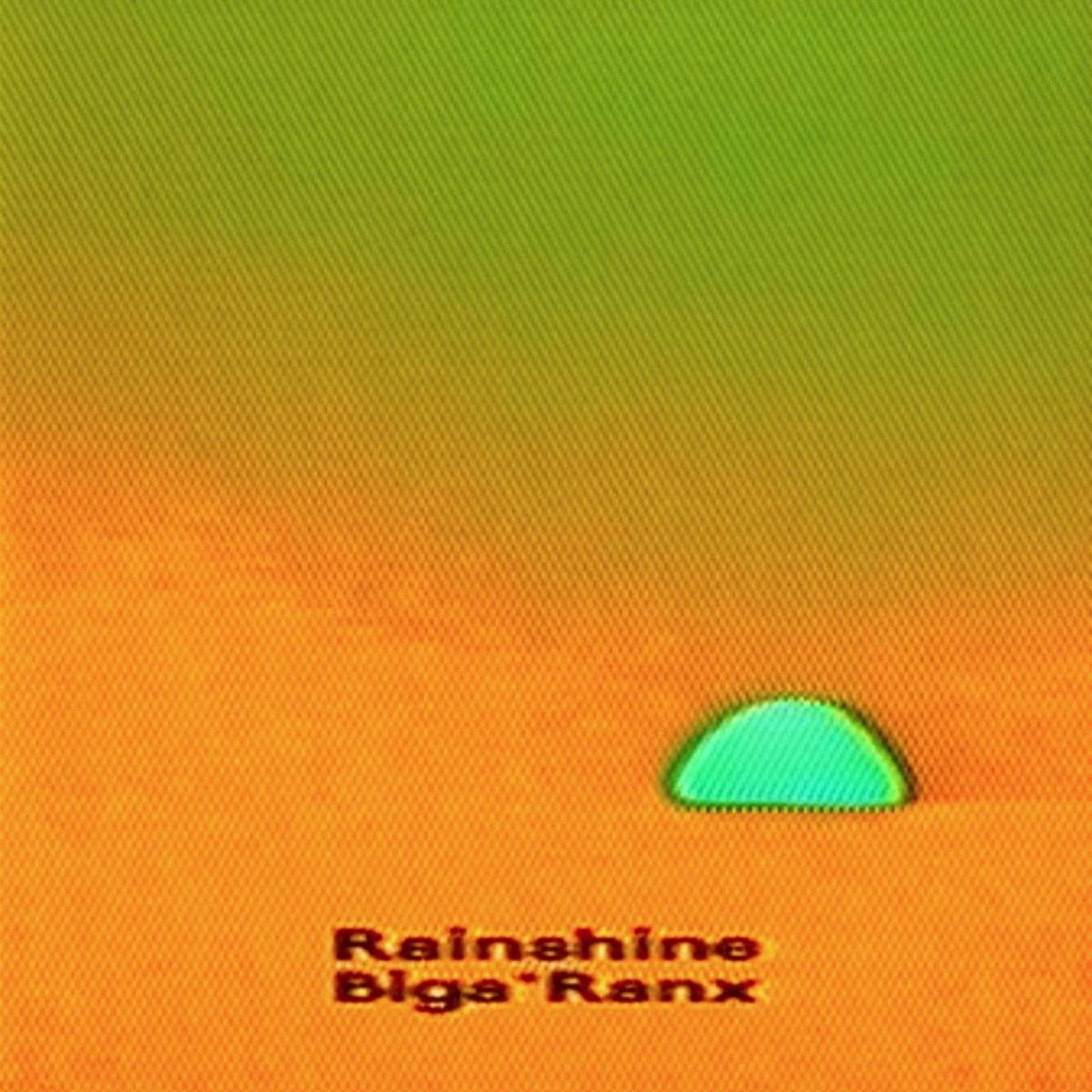 Afbeelding van Biga Ranx - Rainshine