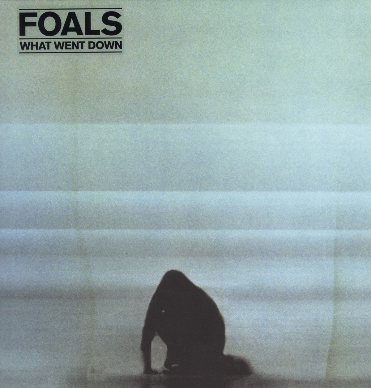 Afbeelding van Foals - What Went Down