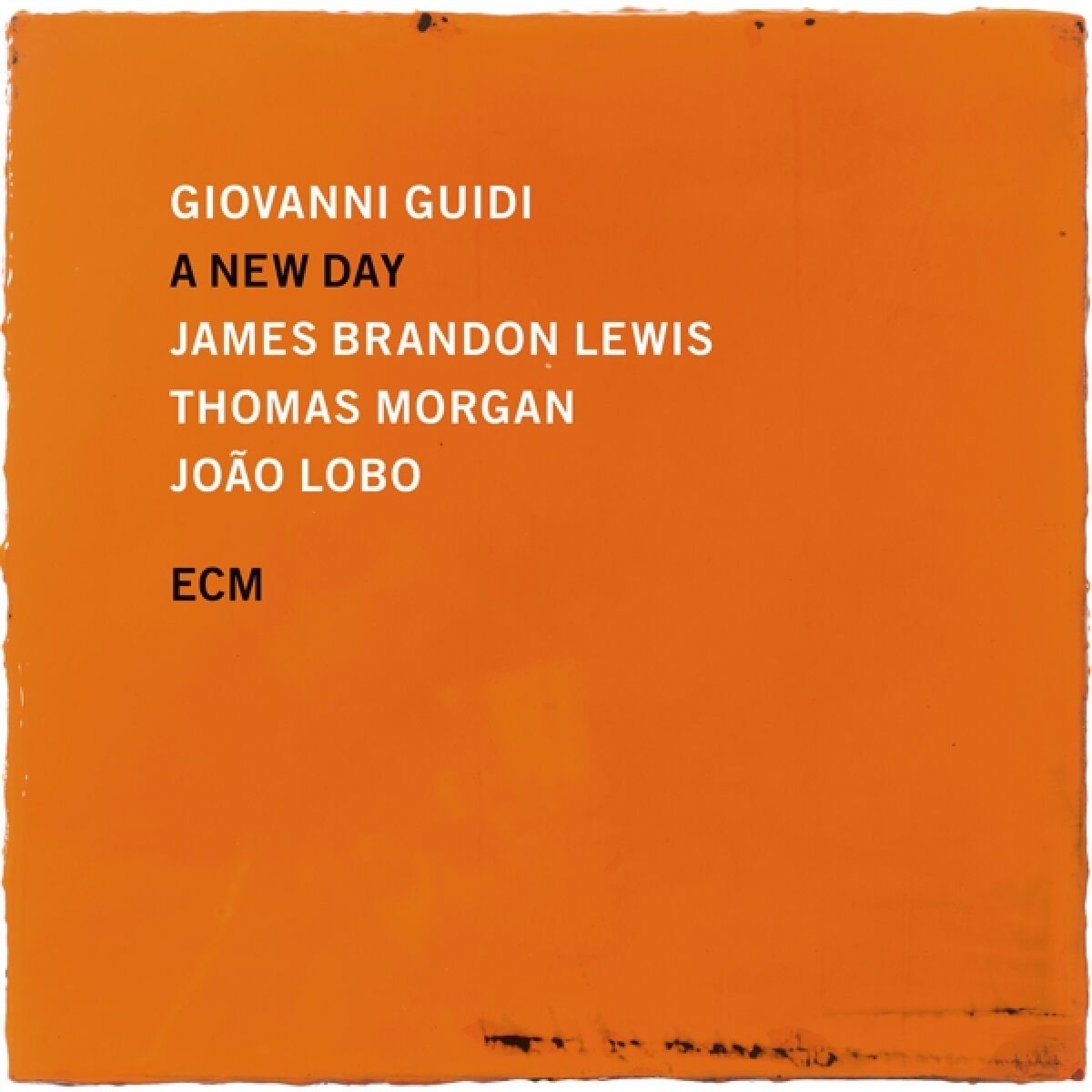 Afbeelding van Giovanni Guidi, James Brandon Lewis, João Lobo - A New Day