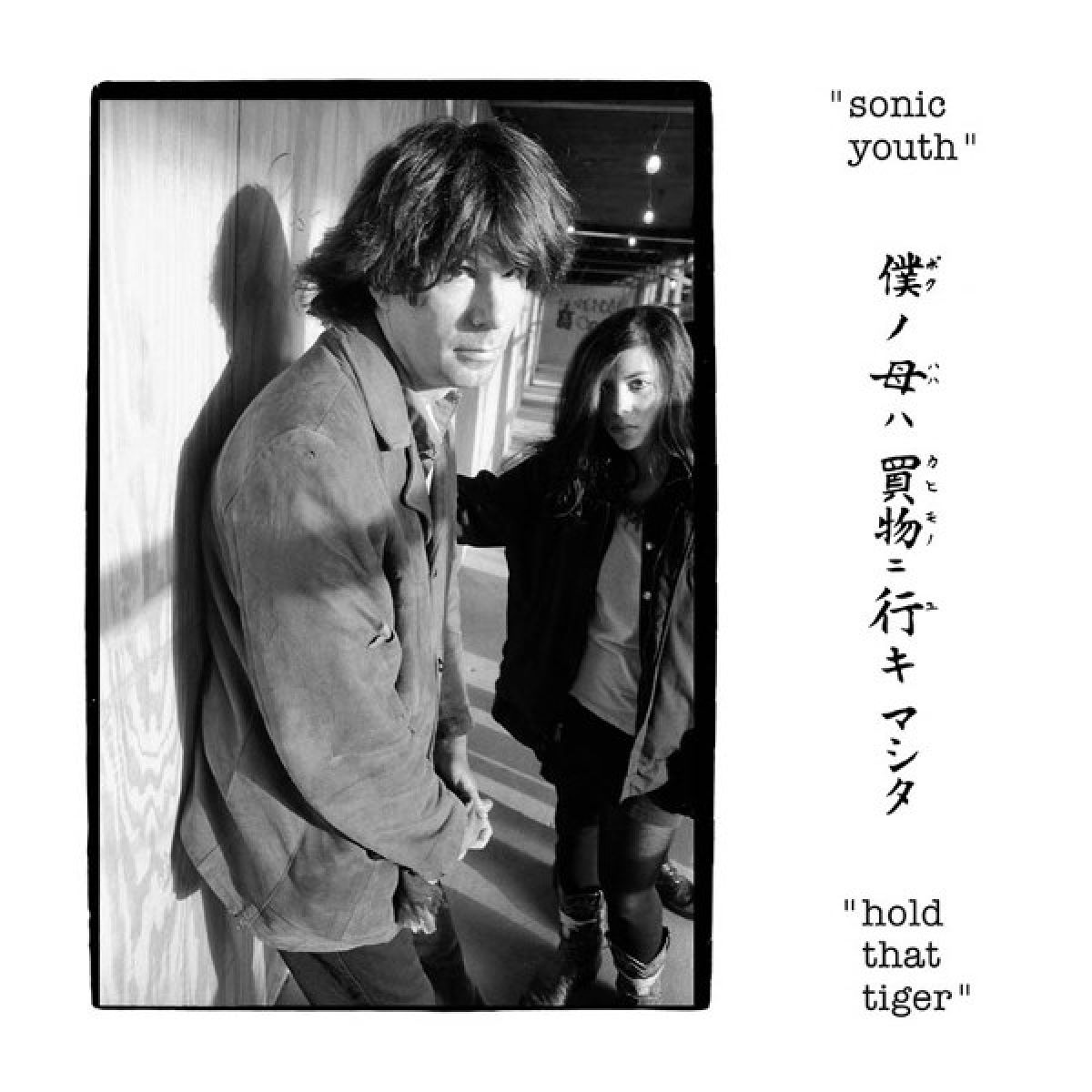 Afbeelding van Sonic Youth - Hold That Tiger