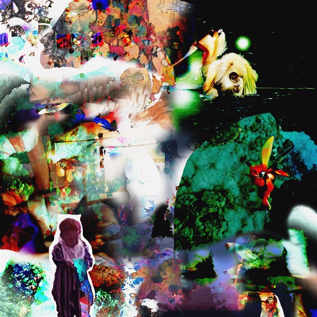 Afbeelding van Acidhead - Distractions