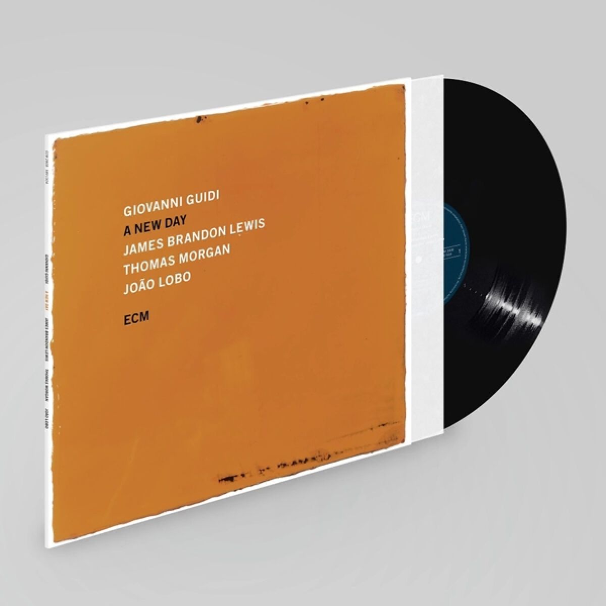 Afbeelding van Giovanni Guidi, James Brandon Lewis, Thomas Morgan, João Lobo - A New Day