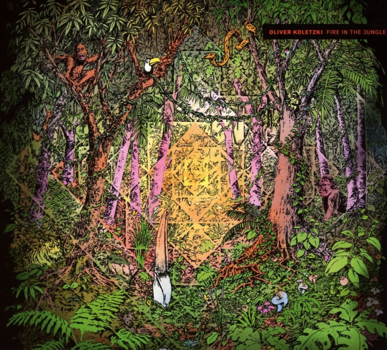 Afbeelding van Oliver Koletzki - Fire In The Jungle