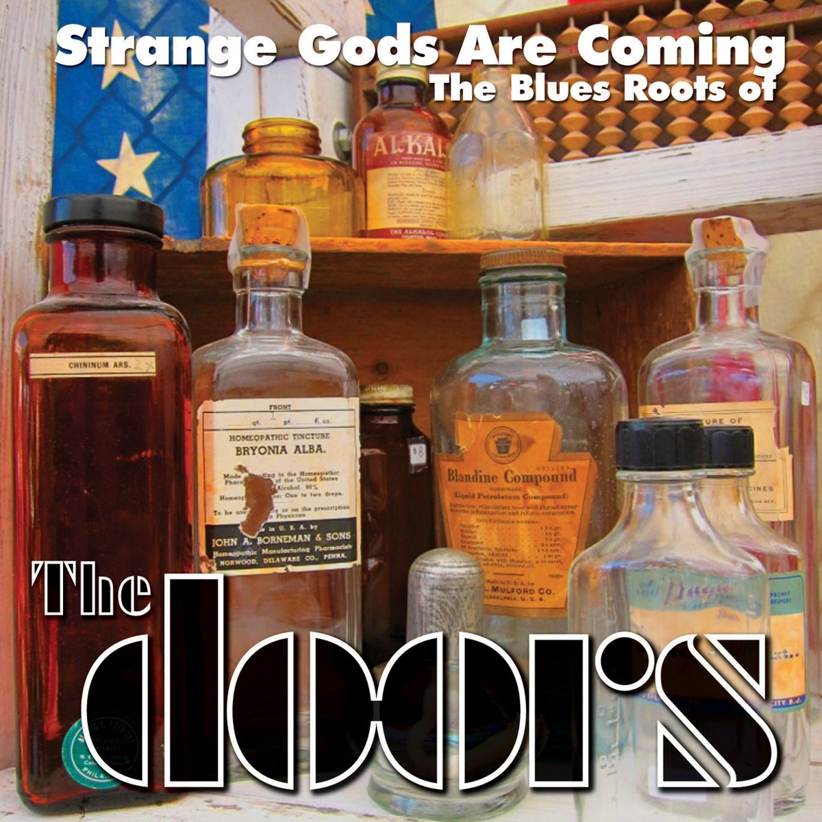 Afbeelding van Various Artists - Strange Gods Are Coming (The Blues Roots Of The Doors)