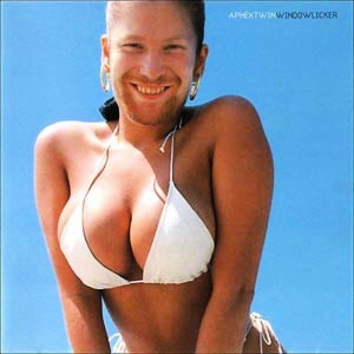 Afbeelding van Aphex Twin - Windowlicker